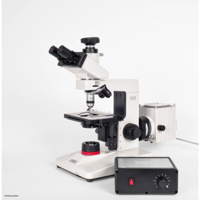 hund Laboratory Microscope H 600 LL HP 100