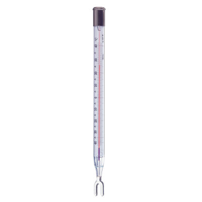 Ludwig Schneider Precision Minimum Thermometer