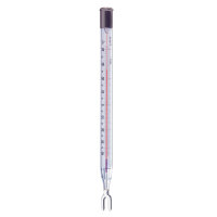Ludwig Schneider Präzisions-Minimum-Thermometer